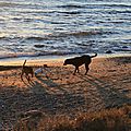 IMG_1890 - Copie