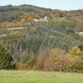 Photo 007