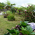 P1320597 (Copier)