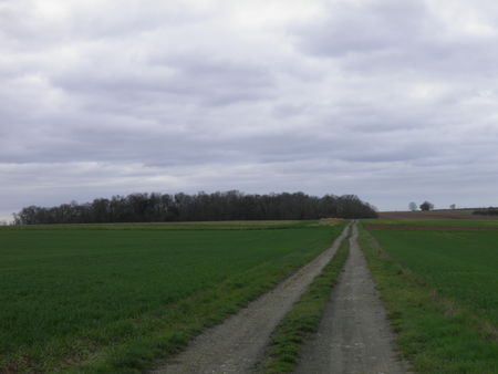 P2250073
