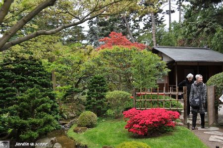 Jardin-Albert-Kahn-068