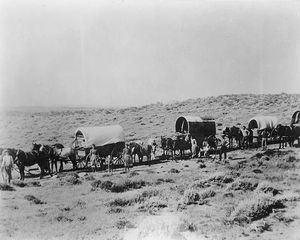 Donner Party Wagons