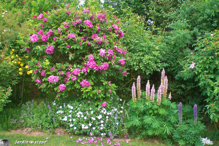 jardins_de_Roquelin_52