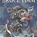 akileos bruce timm