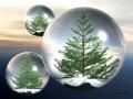 Design_Web_wallpaper_boules_027