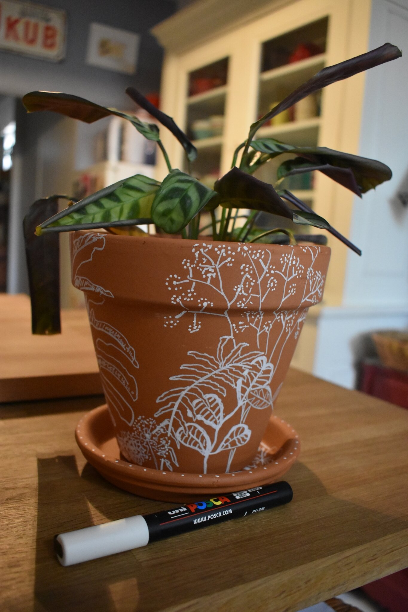Pot de Fleur Interieur avec Soucoupe – Ma déco plantes