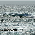 LAURENT__SOULIGNE_LES_VAGUES_DE_TISTAREDDA_