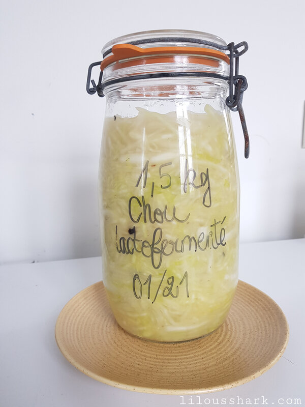 chou lactofermentation choucroute 13