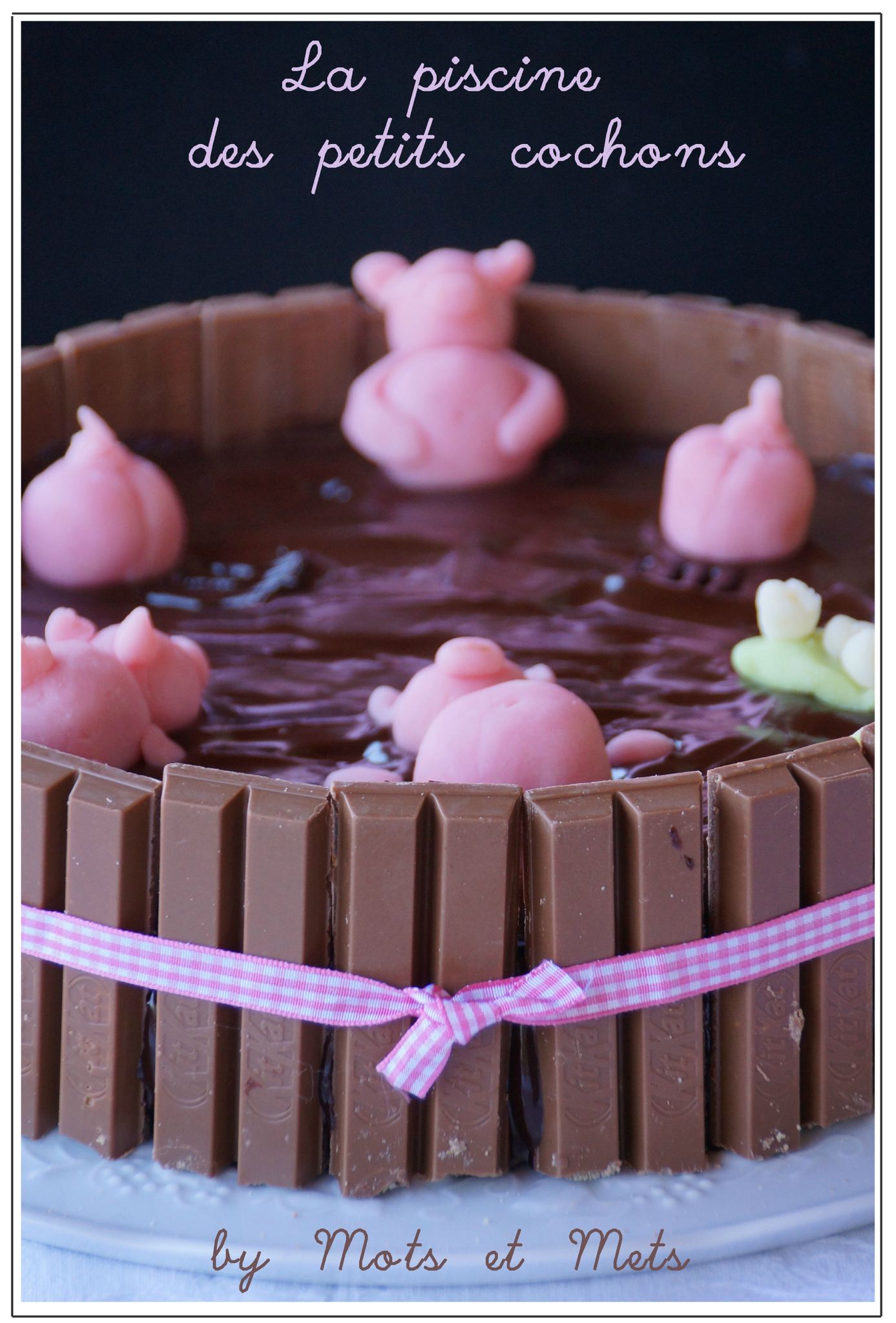 Un gâteau rigolo: la piscine (au chocolat!) des petits cochons! - Mots et  mets
