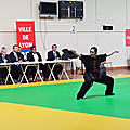 MYLENE KUNG FU Tradi - Médaille d'Or