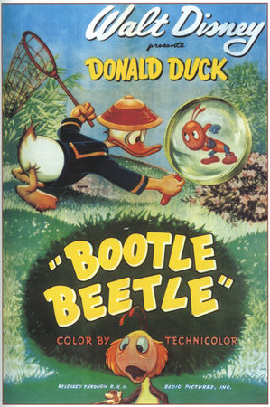 bootle_beetle