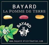 Bayard distribution