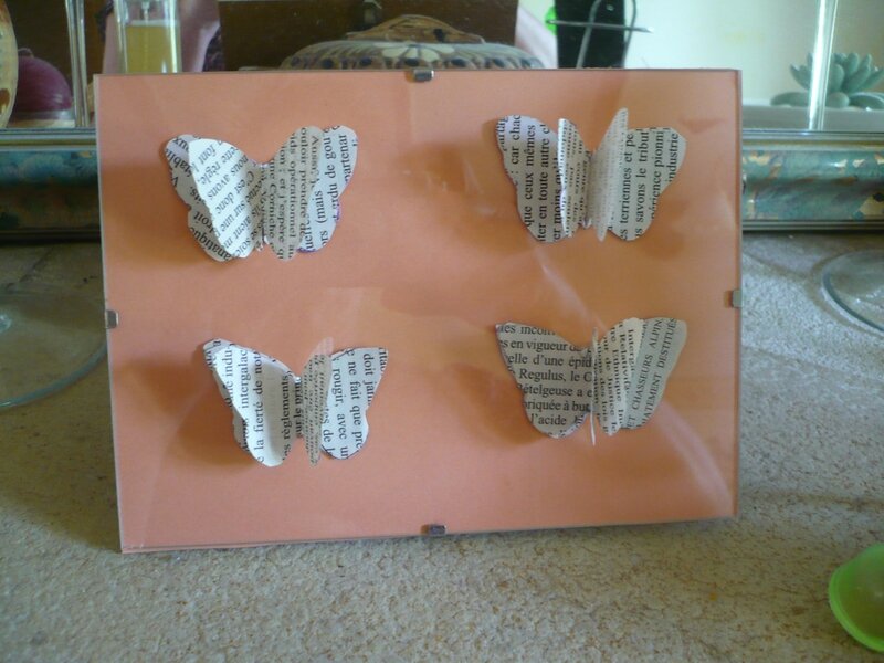 Cadre papillon