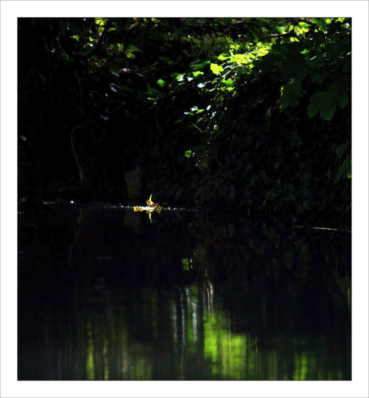Derniers rayons soleil rivière vert 070821
