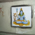 tags 2