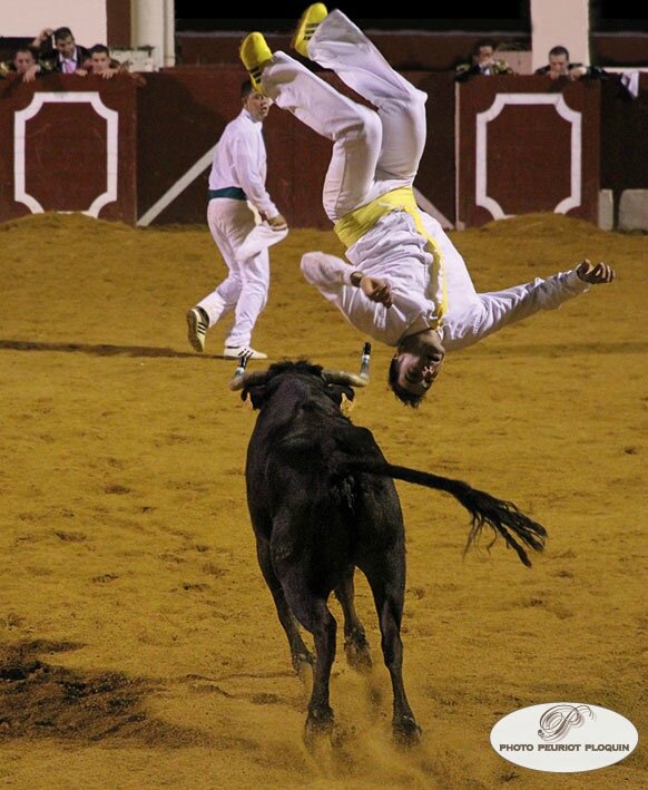 VIC_FEZENSAC_le_sauteur_saut_perilleux