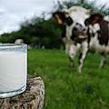 Le lait de vache quel vacherie ! diabète, cataracte, risque cardio-vasculaire et de cancer…