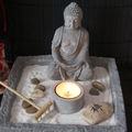 Zen Garden
