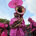 Voir la vie en rose au carnaval de nantes le 6 avril 2014 (2)
