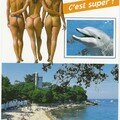 AA0113-L'île de Noirmoutier