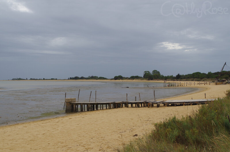 && plage Fort Royer (3)