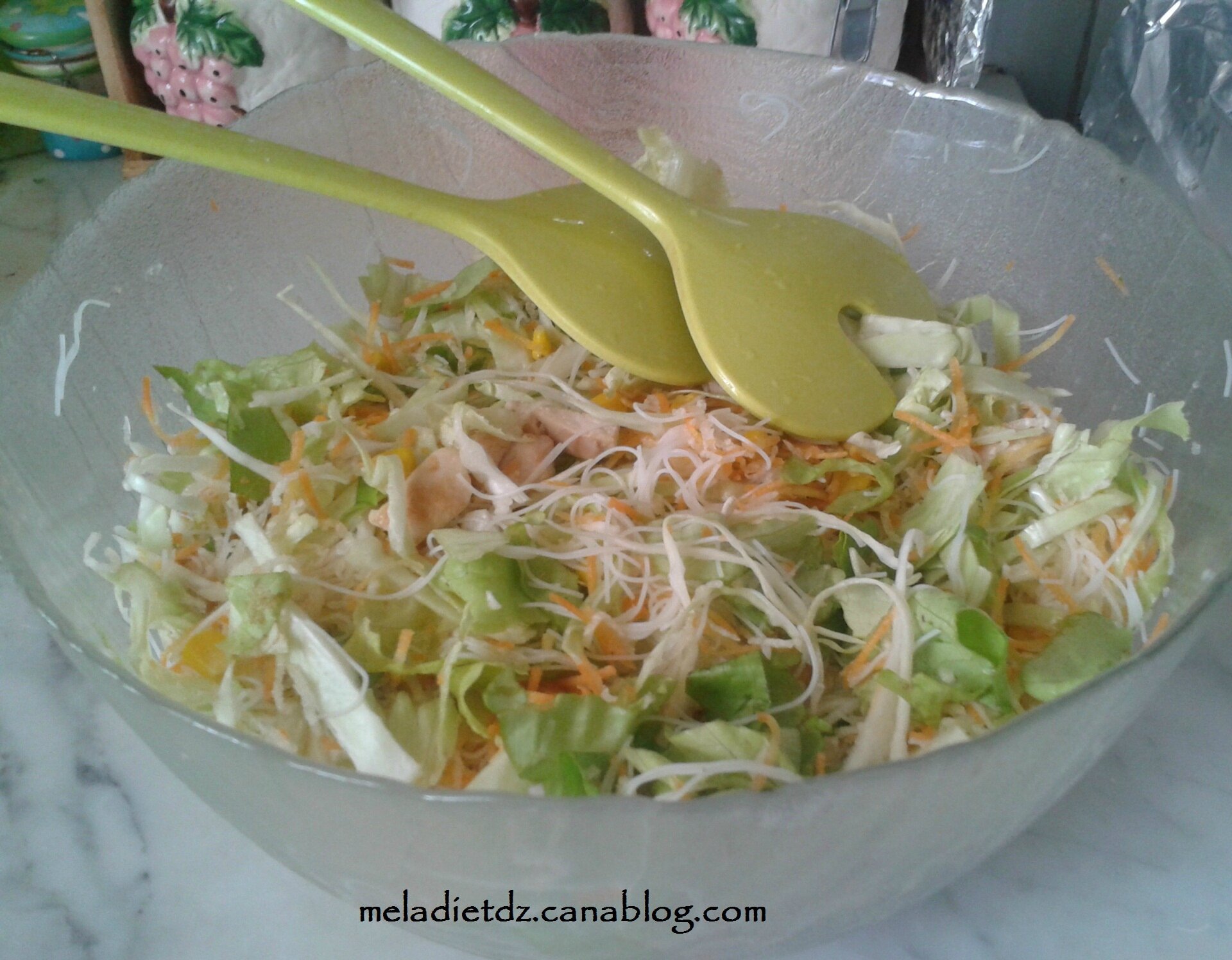 Salade asiatique aux vermicelles de riz et aux légumes Conseils et