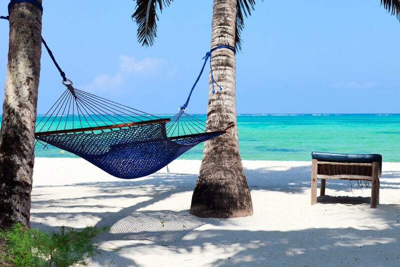 Perfect-tropical-paradise-beach-of-Zanzibar-island-with-palm-trees-and-hammock1