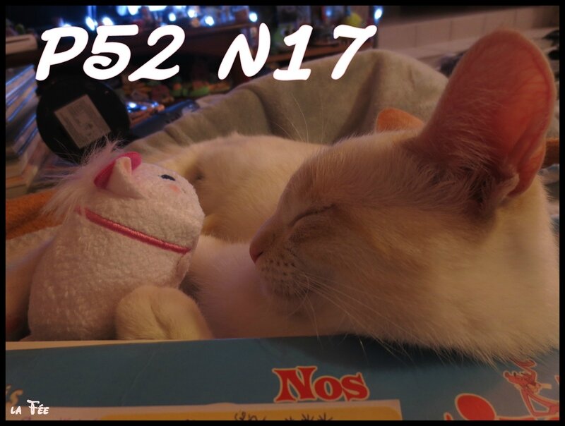 p52 n17