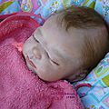 EVERLEIGH, plus disponible