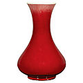 Chinese sang de boeuf porcelain vase, 19th century