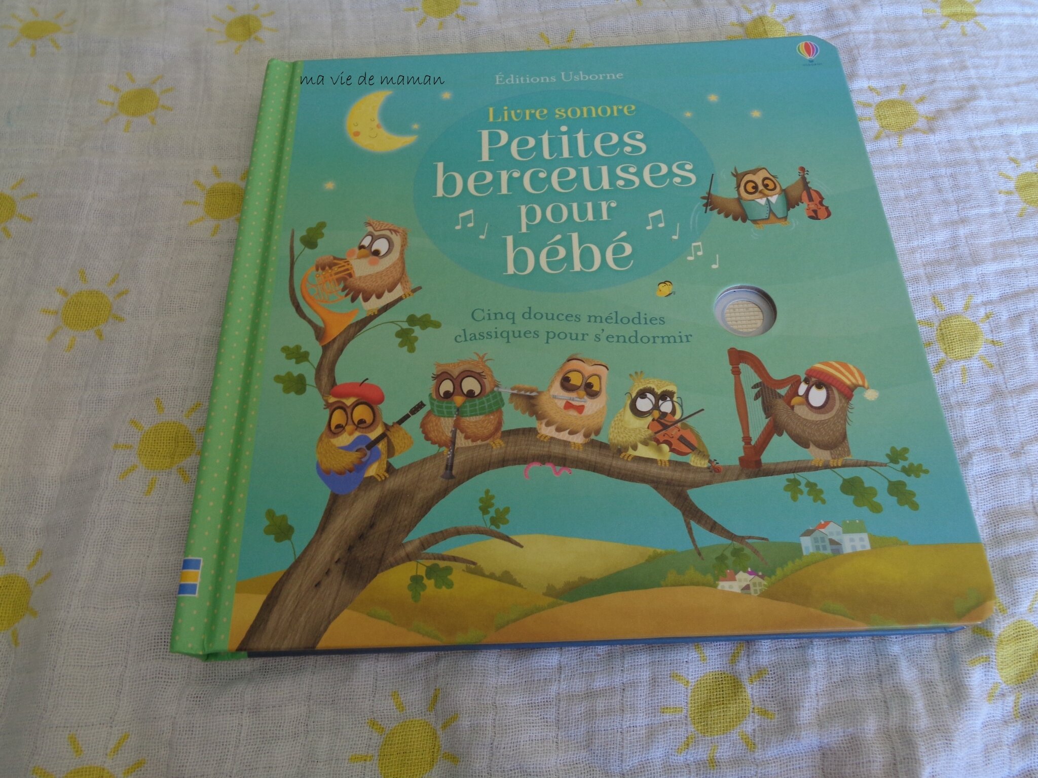 Livre Sonore Petites Chansons pour accueillir Bébé Neuf Larousse Jeune –  Laboutiquedulivre