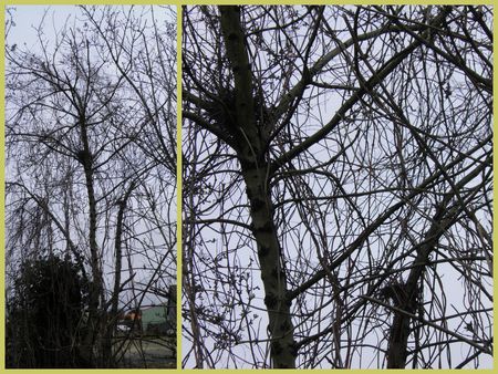 2011022518451110