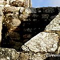 DSC03869
