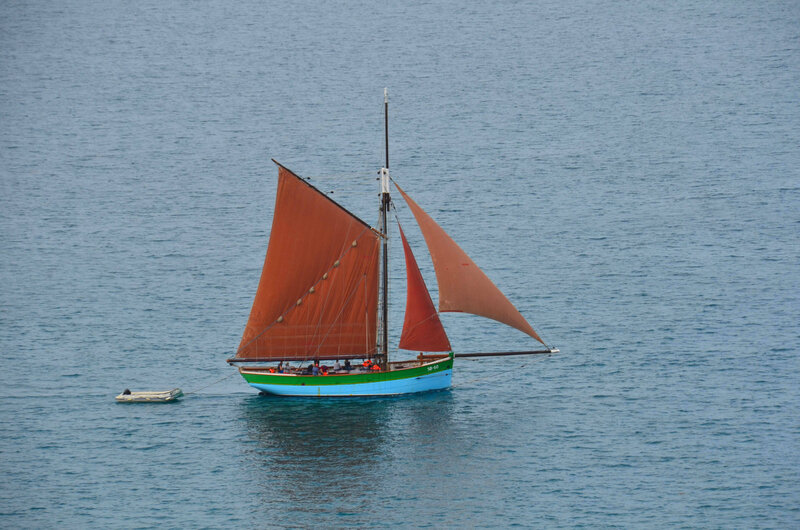DSC_3131