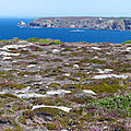 P1080517