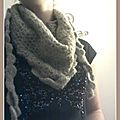 Accessoires