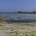 P1080817 (118)