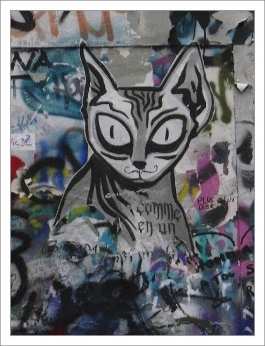 graff Gainsbourg chat