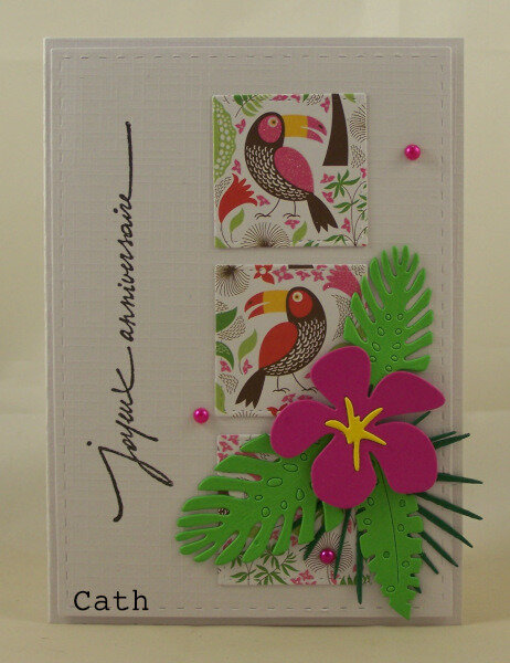 Cartes Exotiques La Carterine Cartes Et A T C