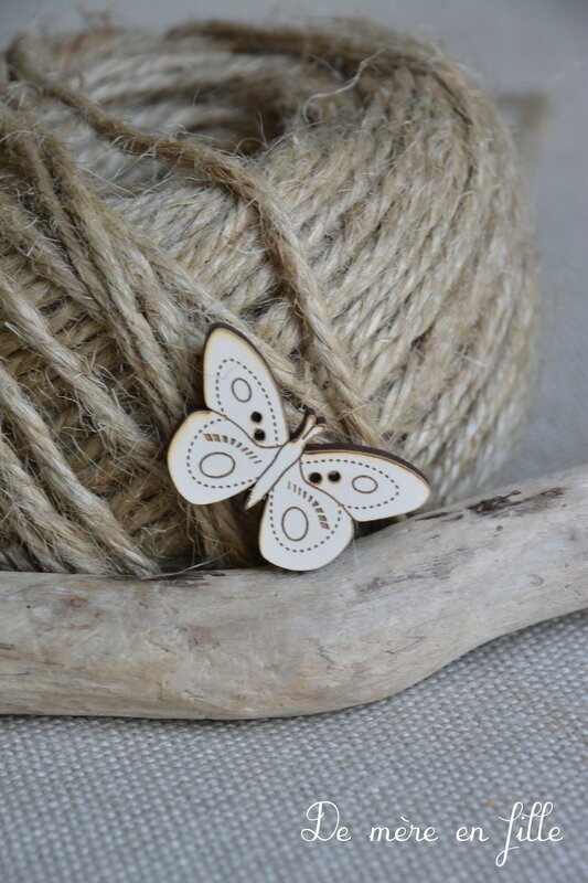 papillon en vol