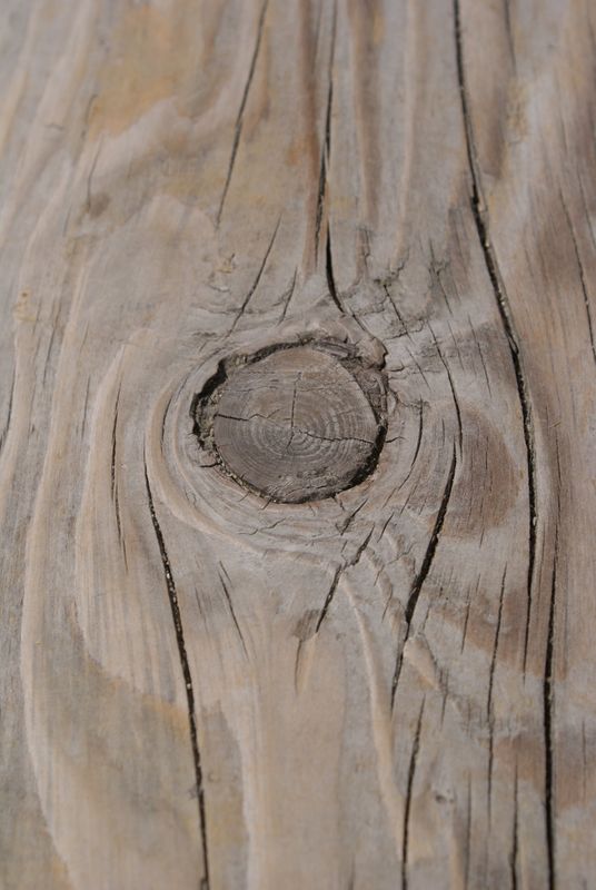 Un noeud dans le bois Photos de saint cyr l