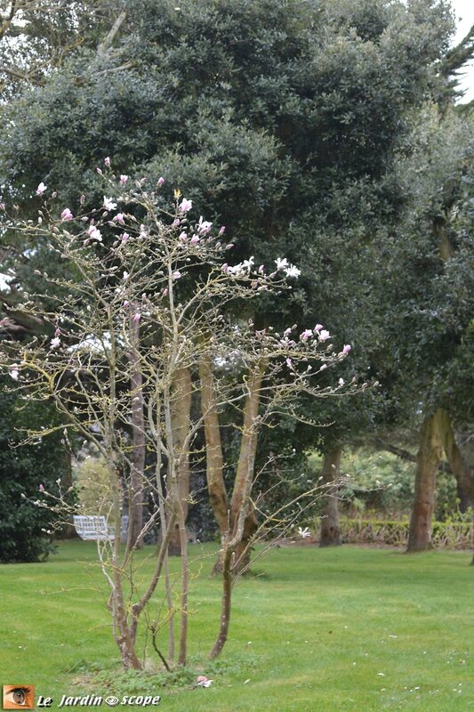 Jardin-de-Granville-10
