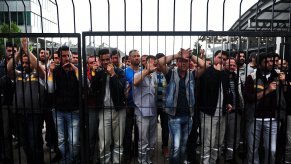 greve2