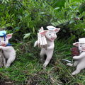 diverses sculptures