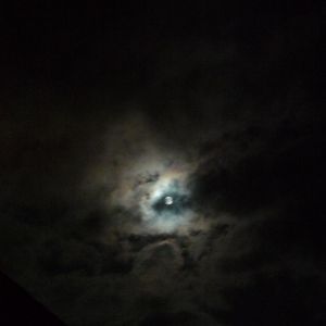 2012-01-096