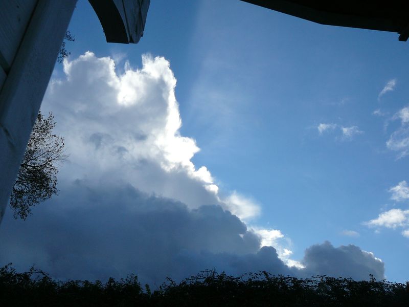 Lever les yeux au ciel Ecosophie 17