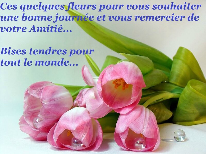 bonne journéef38c89c1