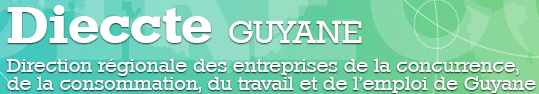 Screenshot-2018-5-4 Direccte Guyane