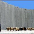 Israël / palestine: le 