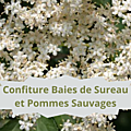 18 SUREAU NOIR(2)Confiture Baies de Sureau et Pommes Sauvages
